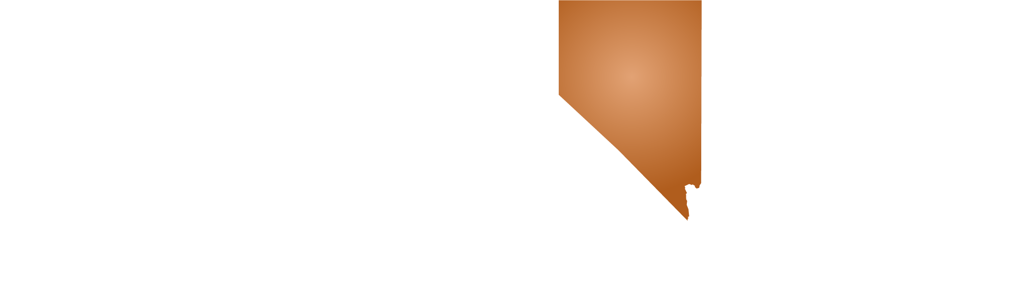 Susie Lee for Congress logo